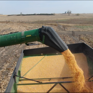 Unloading auger tippy spout for John Deere® combin