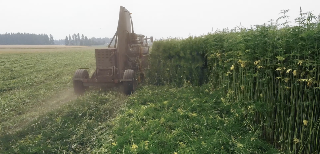Bish Enterprises Fibercut machine operating in the field, designed for precise cutting of processed hemp fiber to enhance industrial efficiency.