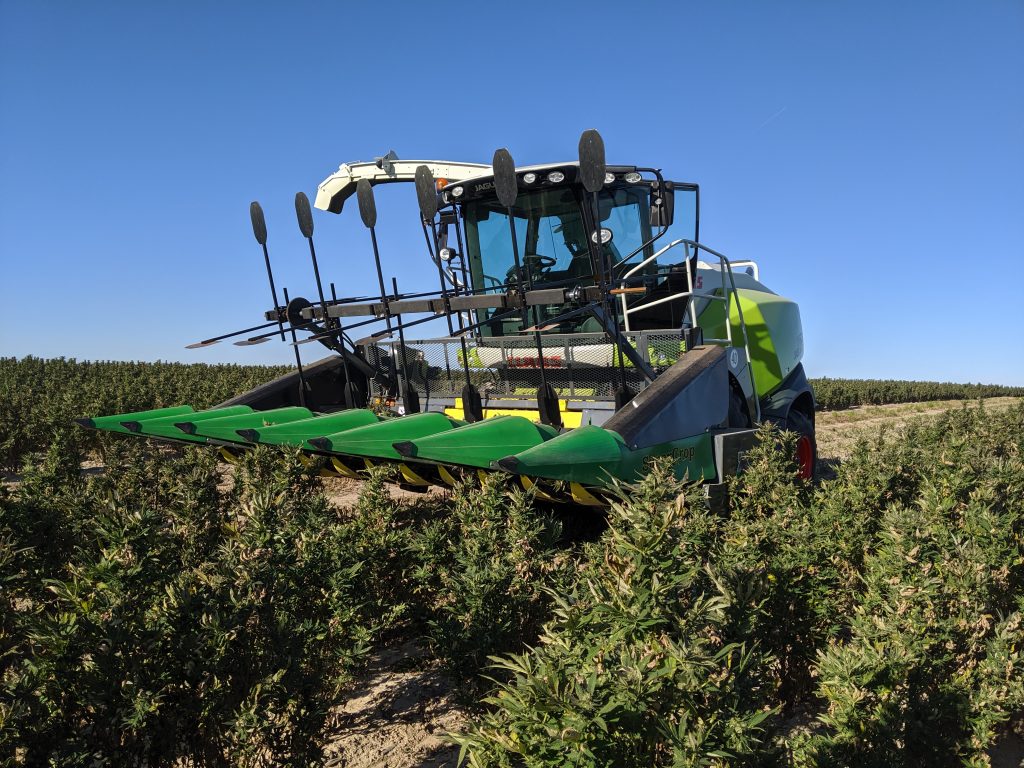 SuperCrop® LP header positioned in CBD hemp field for low-profile harvest