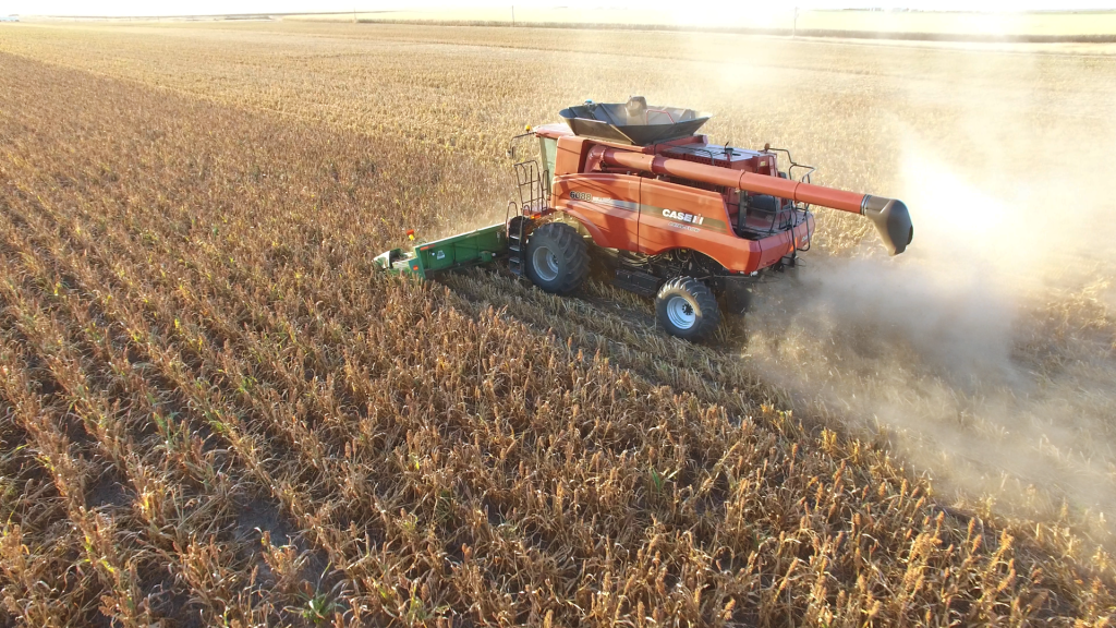 SuperCrop® header harvesting lodged sorghum