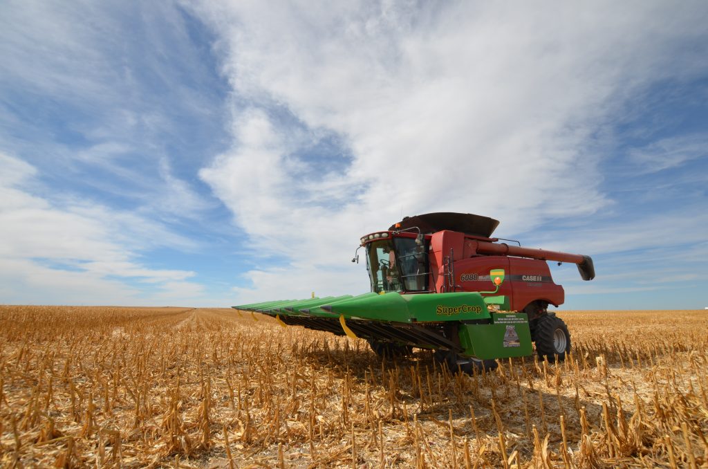 Bish SuperCrop® header mounted on combine during popcorn harvest
