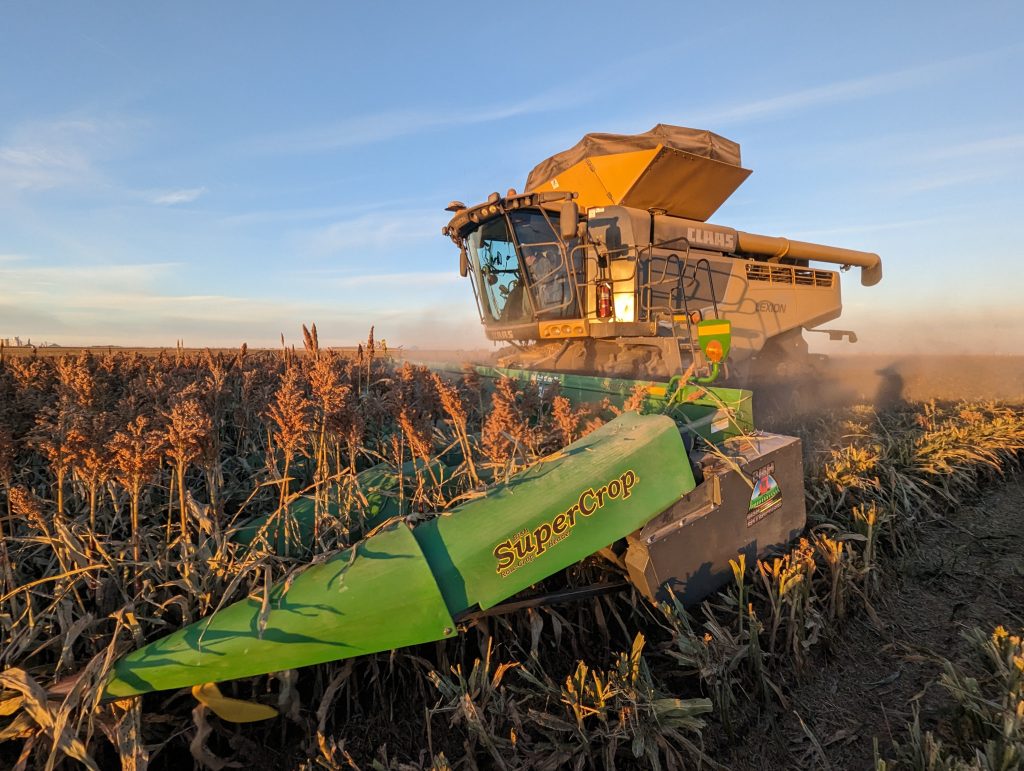 SuperCrop® header harvesting sorghum