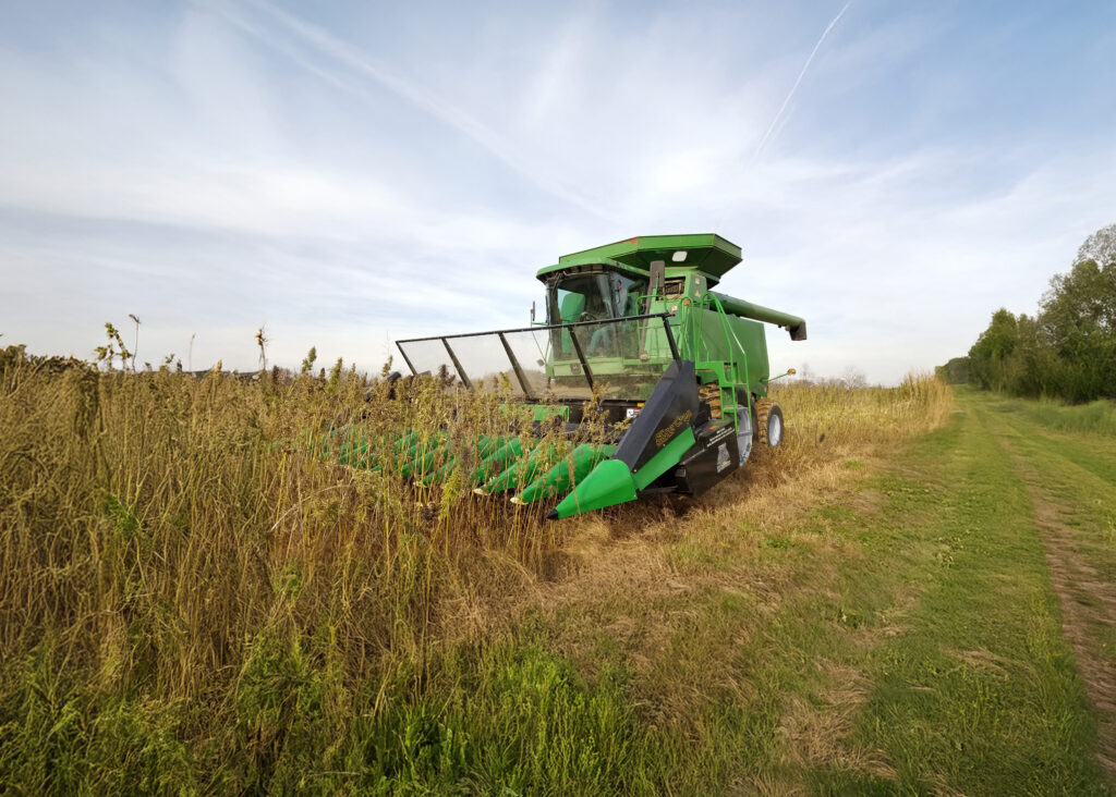 SuperCrop® header in action harvesting hemp