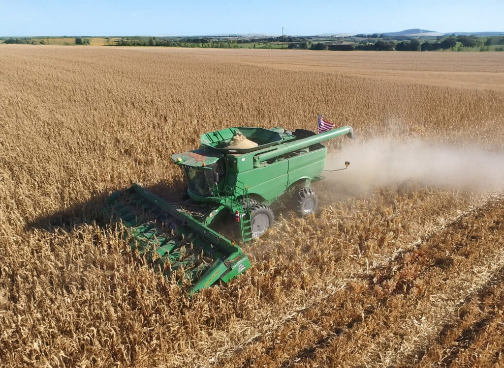 Bish SuperCrop® header mounted on combine during sorghum harvest