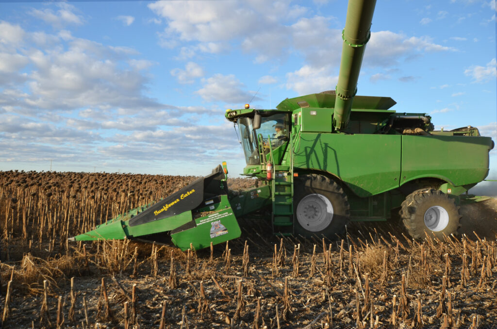 Bish SuperCrop® header mounted on combine during sunflower harvest