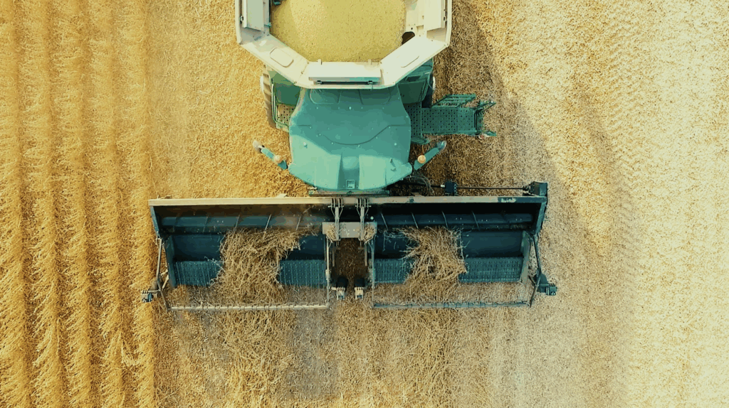 Bish Dual bed pickup header in the field