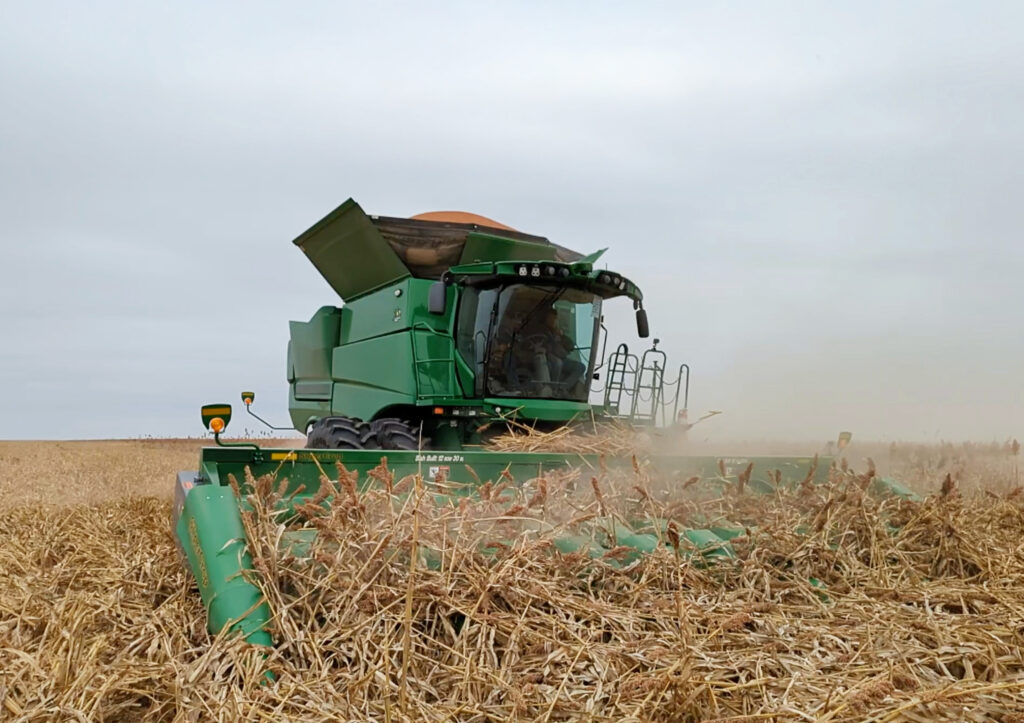SuperCrop® header harvesting lodged sorghum in tough field conditions