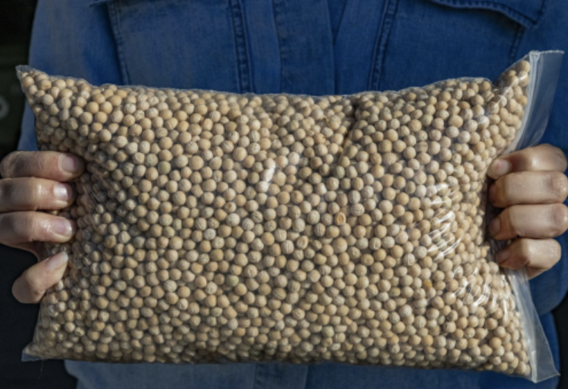 Clean, market-ready sample after optimizing with MAD Concaves_